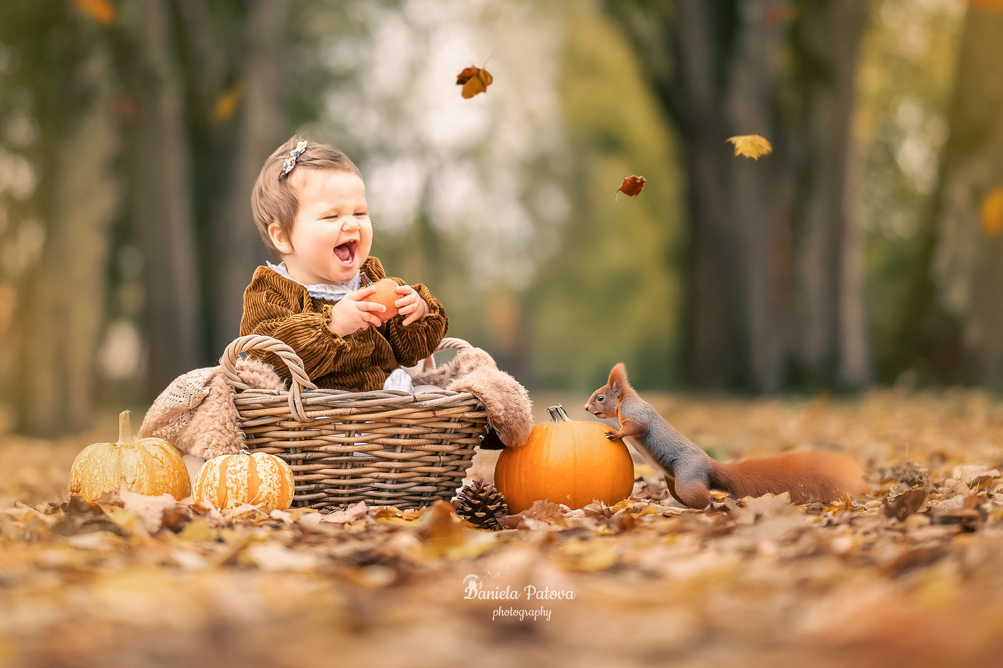 Séances photos d’Automne